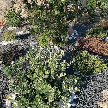 Casa De Ferias Do Parque Da Peneda 2 Feriehus