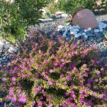 Casa De Ferias Do Parque Da Peneda 2 Feriehus Vila Verde (Braga)