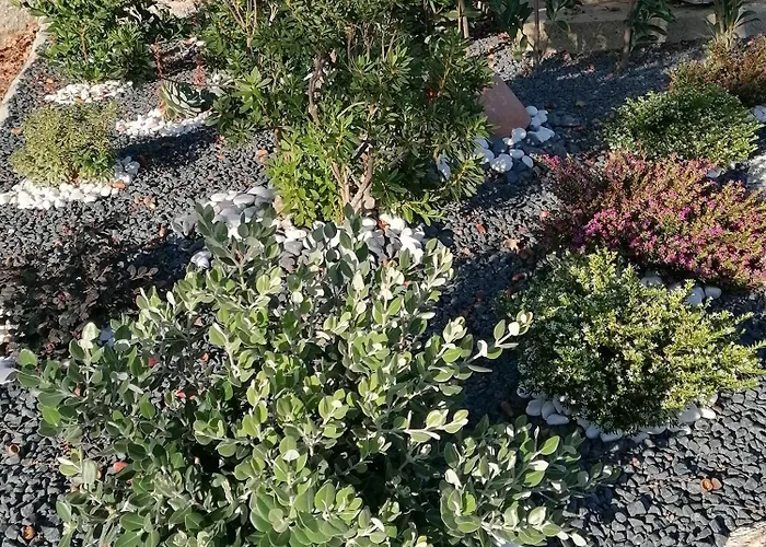 Casa De Do Parque Da Peneda 2 Сasa de vacaciones