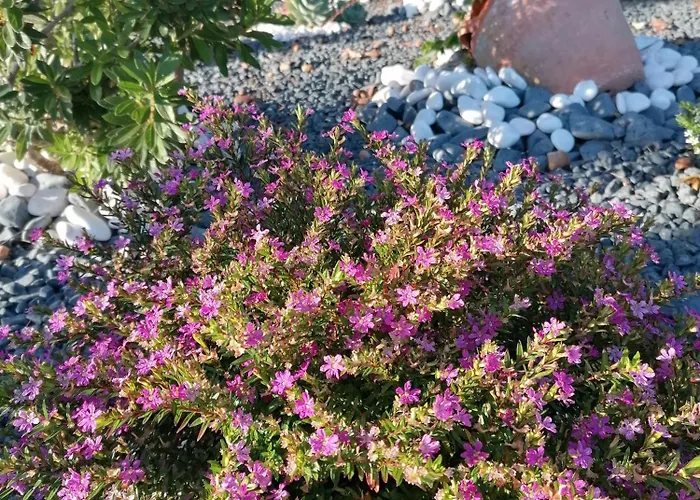 Casa De Do Parque Da Peneda 2 Сasa de vacaciones Vila Verde (Braga)